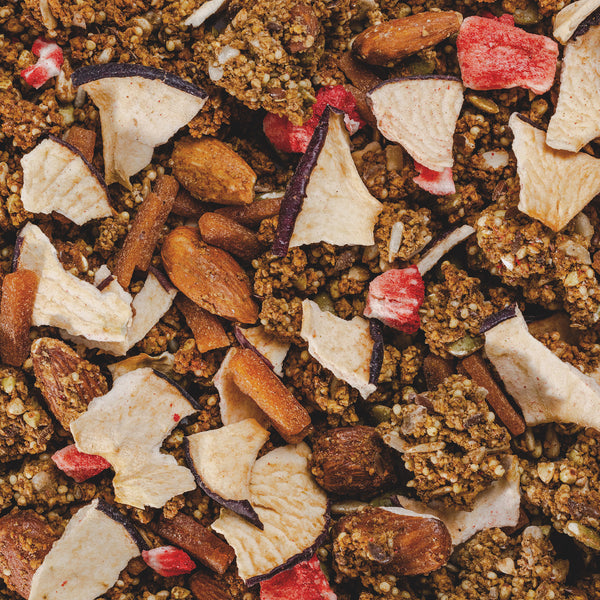 Toasted Almond Premium Fruit Blend Protein Crunch Granola